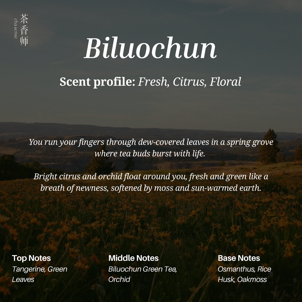 Biluochun by Chasense