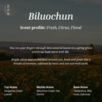 Biluochun by Chasense