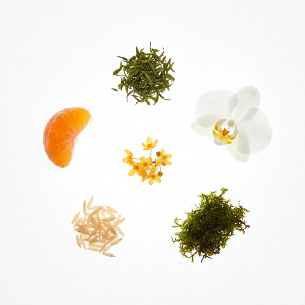 Biluochun by Chasense