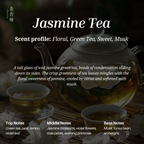 Jasmine by Chasense