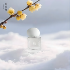 Wintersweet by Chasense