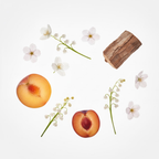 Harajuku Girls by Modern Bath Art