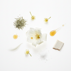 Wintersweet by Chasense