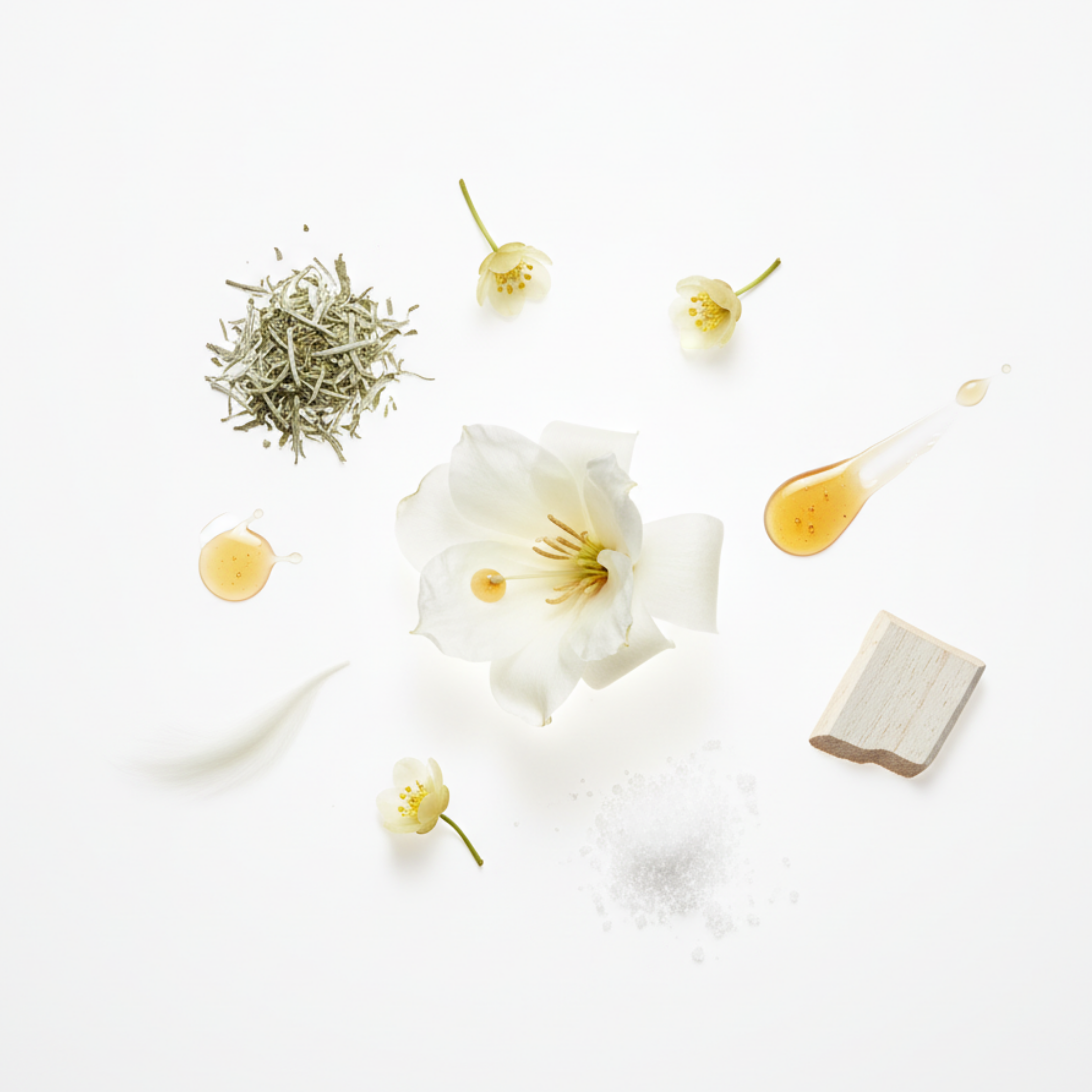 Wintersweet by Chasense