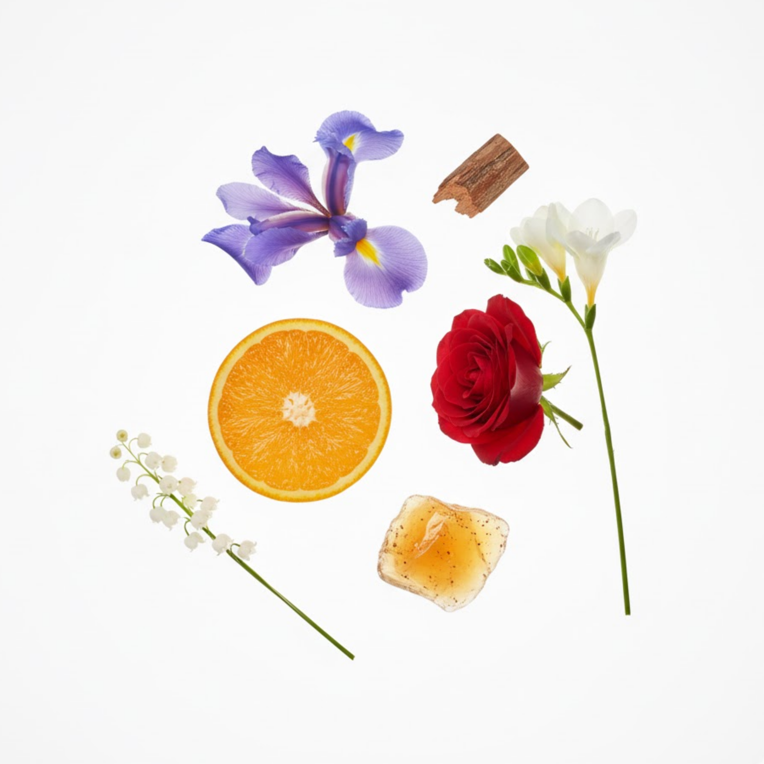 4th Sister by Modern Bath Art