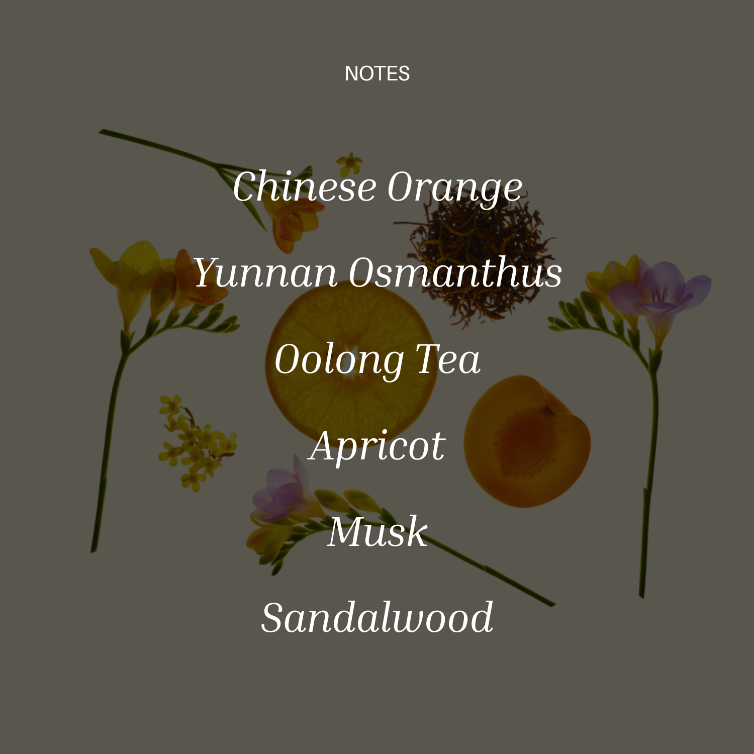 Osmanthus Oolong by Chasense