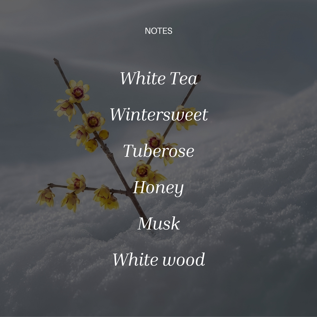 Wintersweet White Tea by Chasense