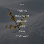 Wintersweet White Tea by Chasense