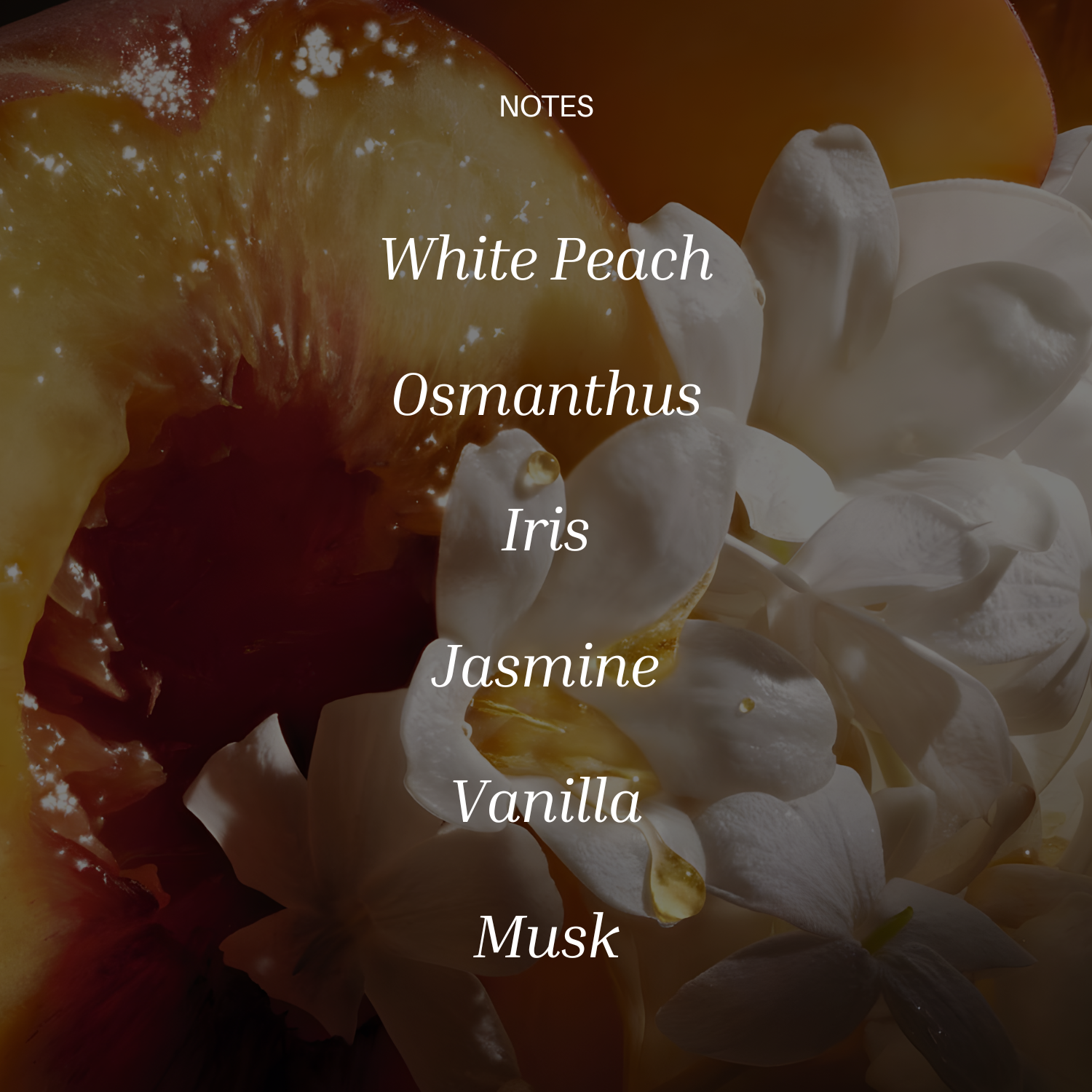 Peach Osmanthus by Modern Bath Art