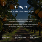 Chasense Chinese Tea Discovery Set