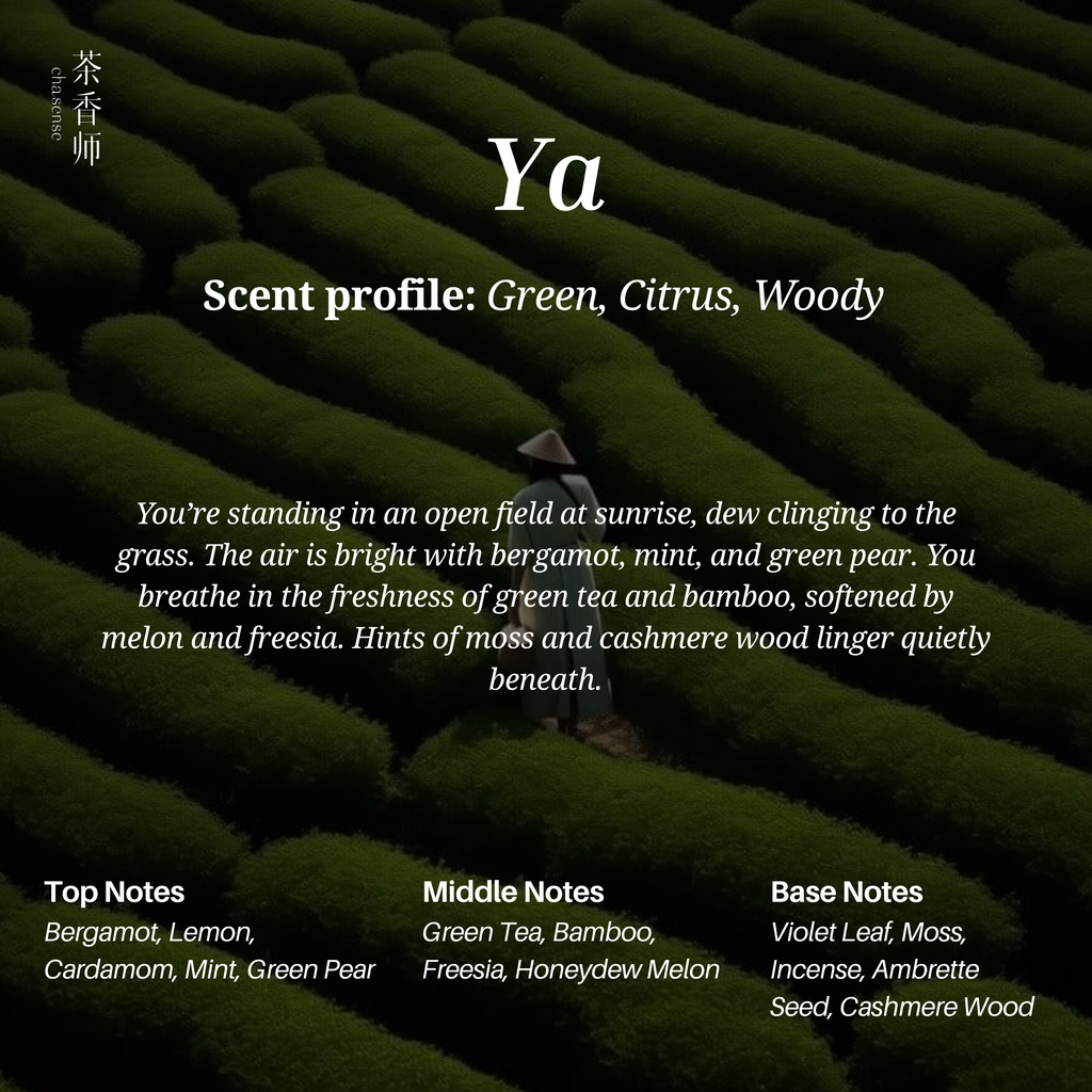 Chasense Signature Discovery Set