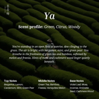 Chasense Signature Discovery Set