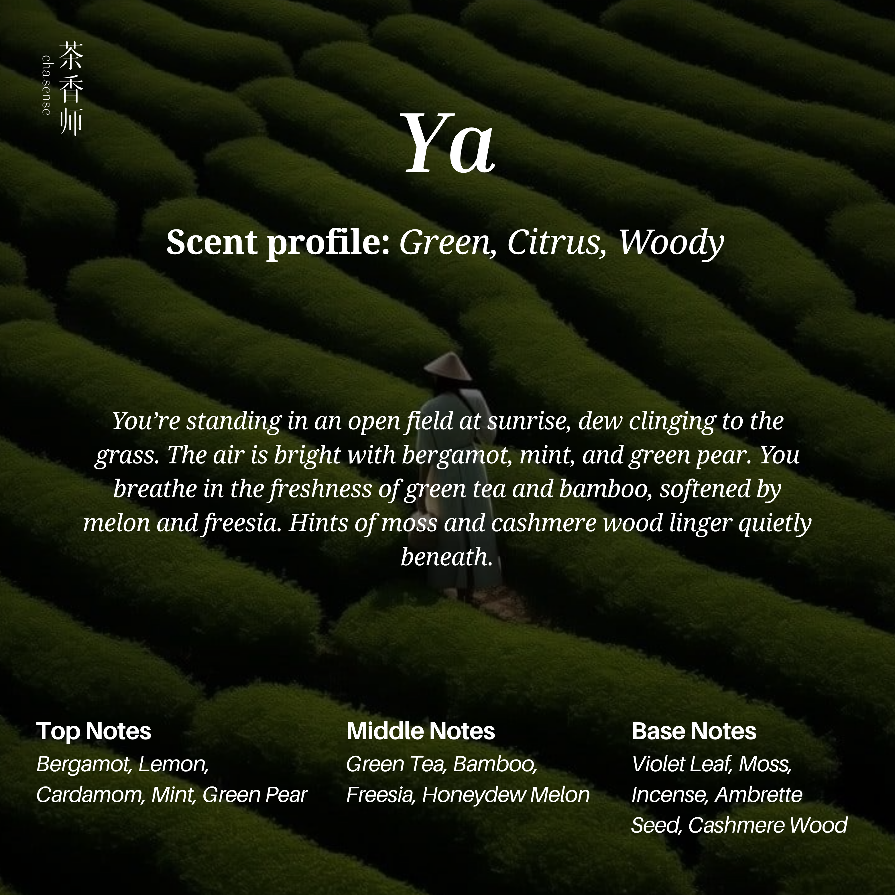 Award Winners (Chasense)