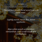 Peach Osmanthus by Modern Bath Art