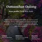 Chasense Signature Discovery Set