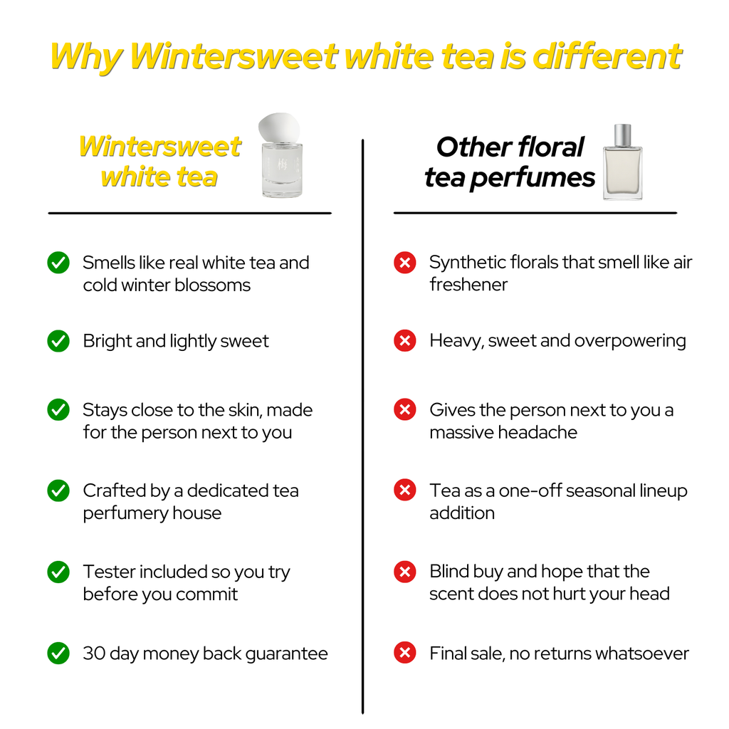 Wintersweet White Tea by Chasense