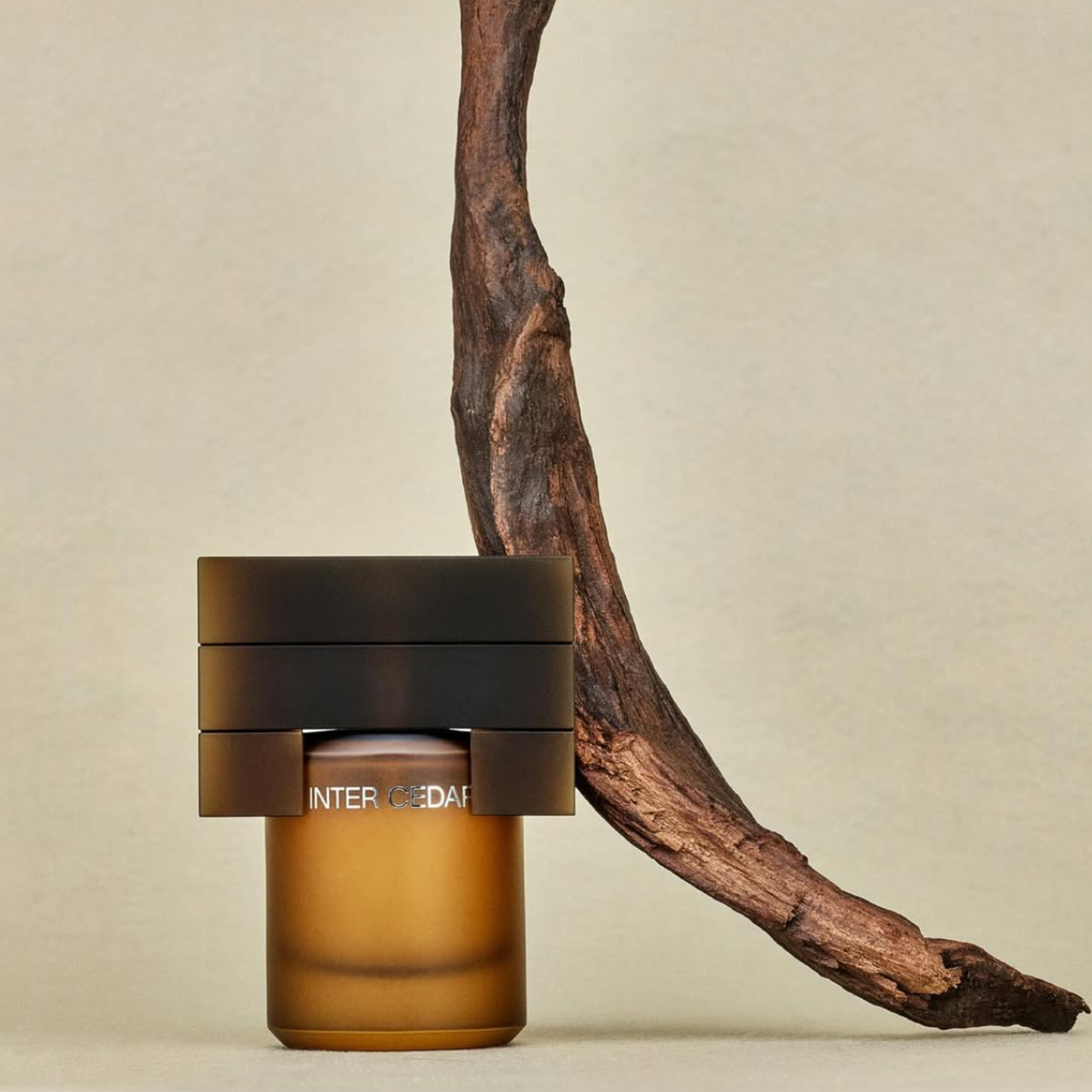 Inter Cedar by Documents