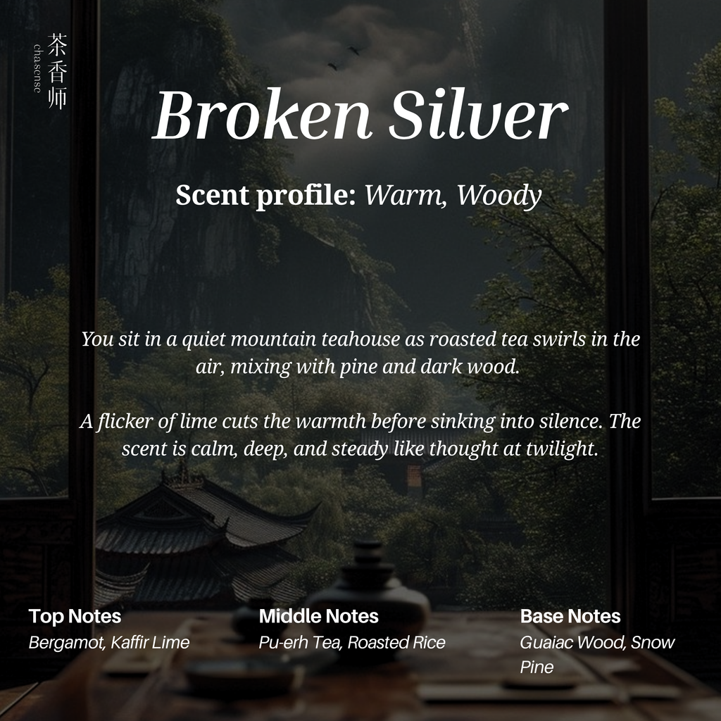 Broken Silver by Chasense
