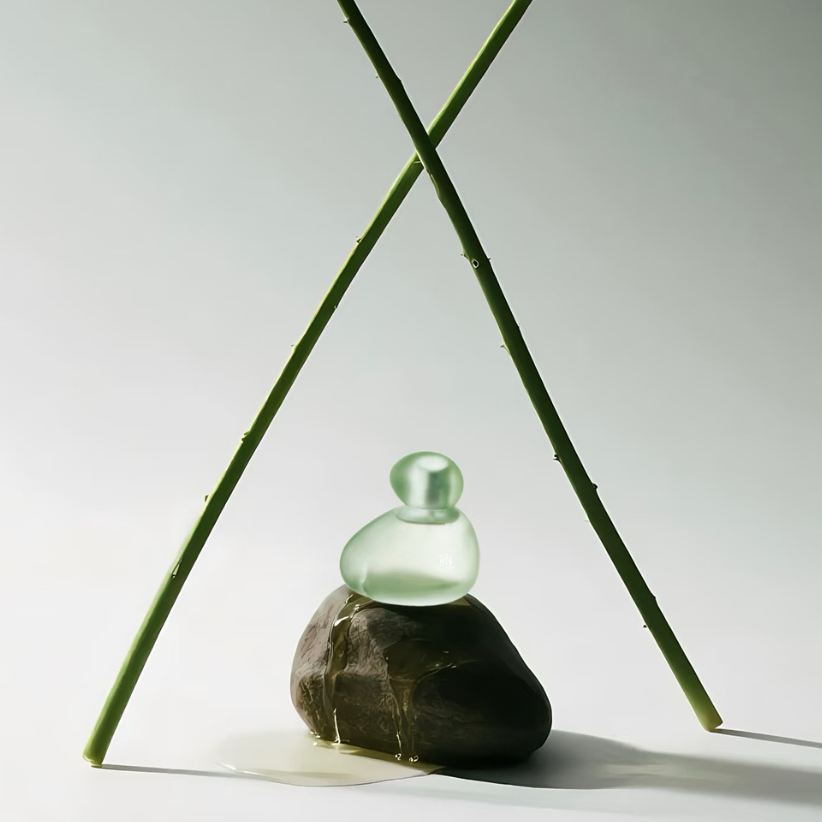 Award Winners (Chasense)