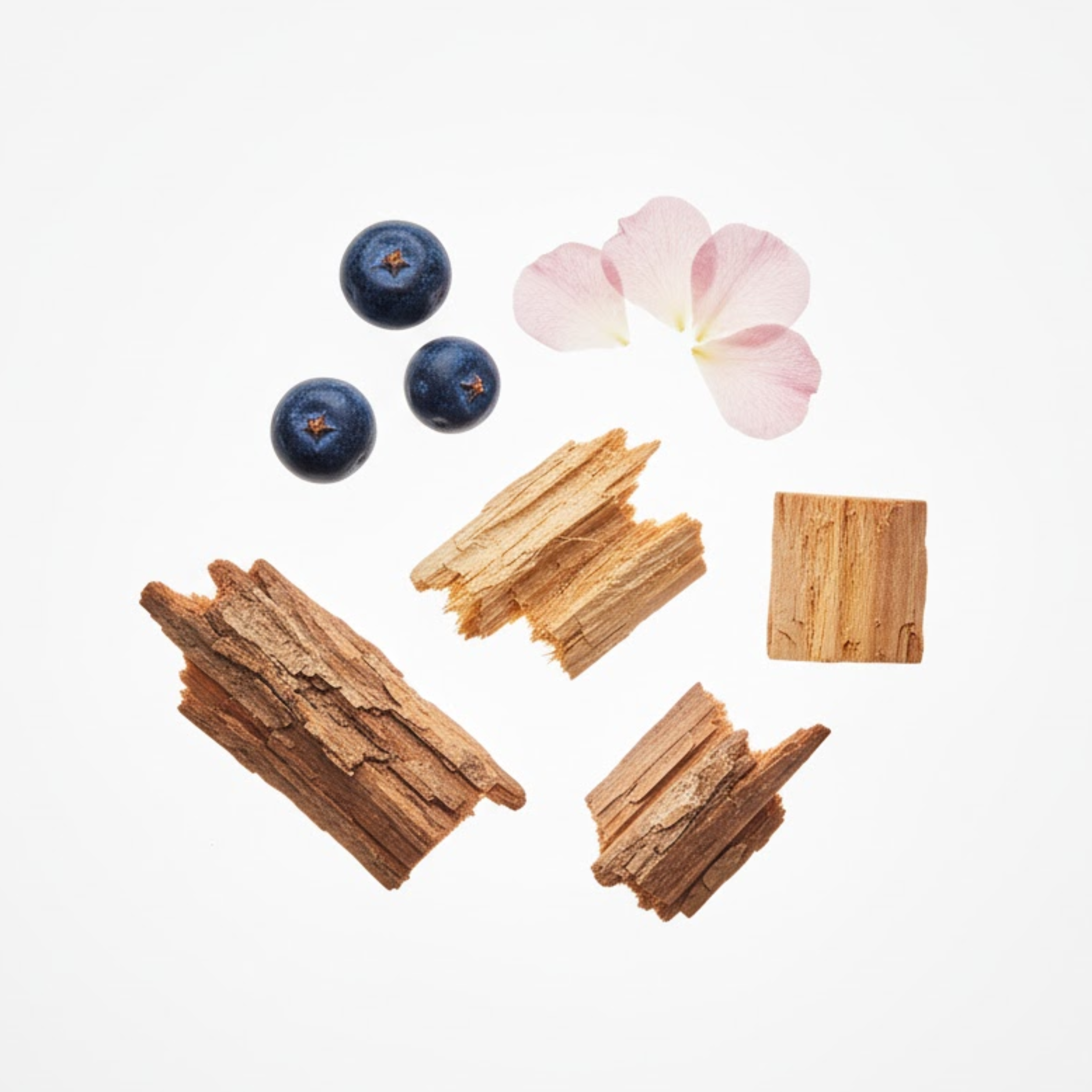 End Of The Wood by To Define