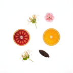 Clear Citrus by Less by Less