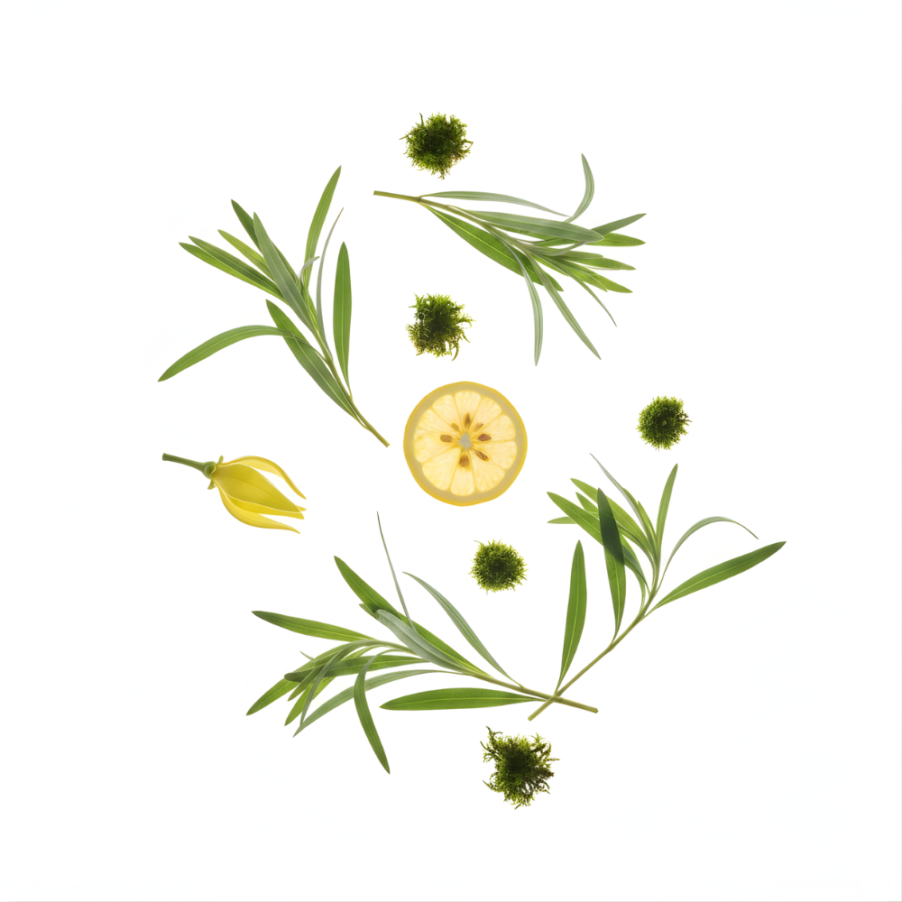 Mugwort Veil by Less by Less