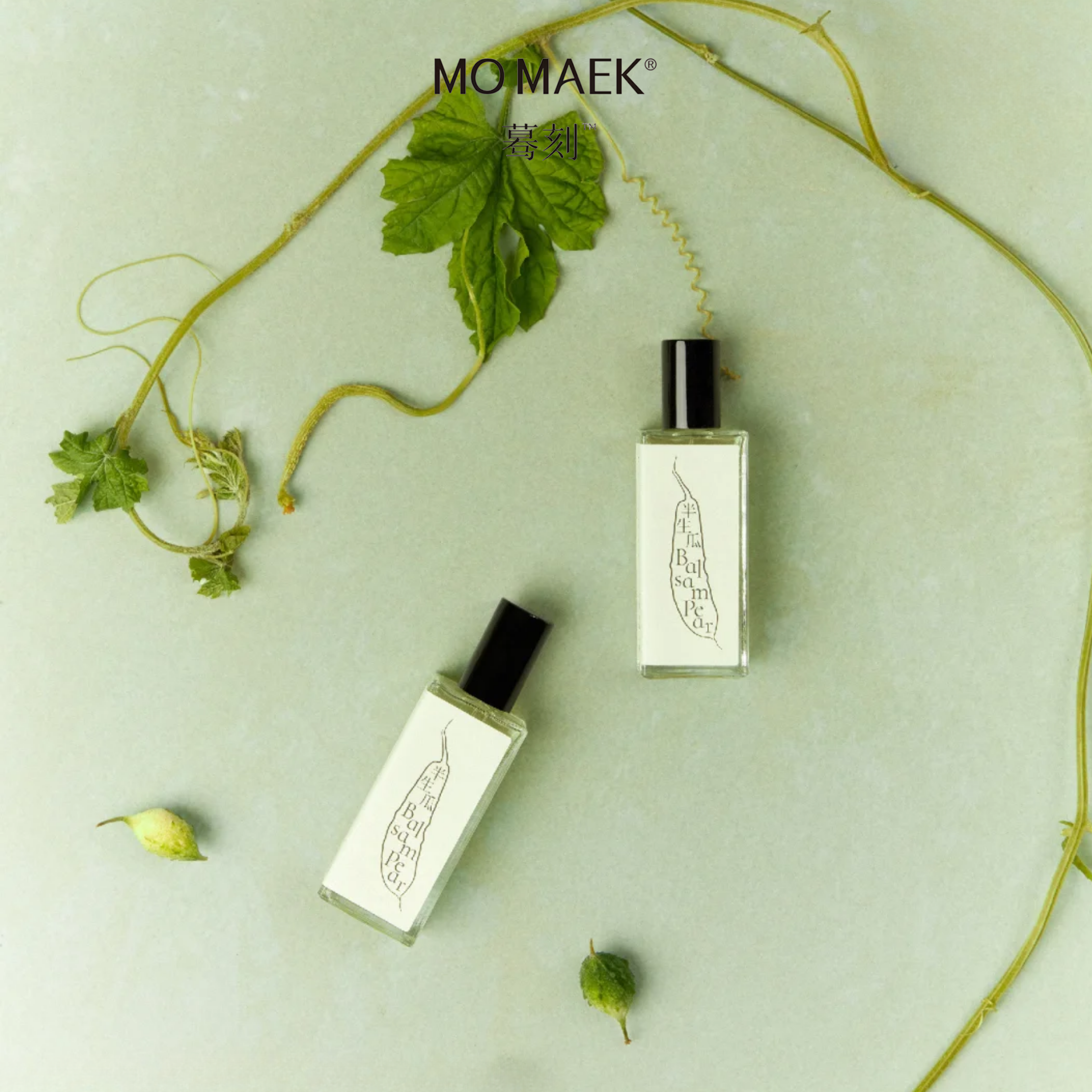 Balsam Pear by Mo Maek