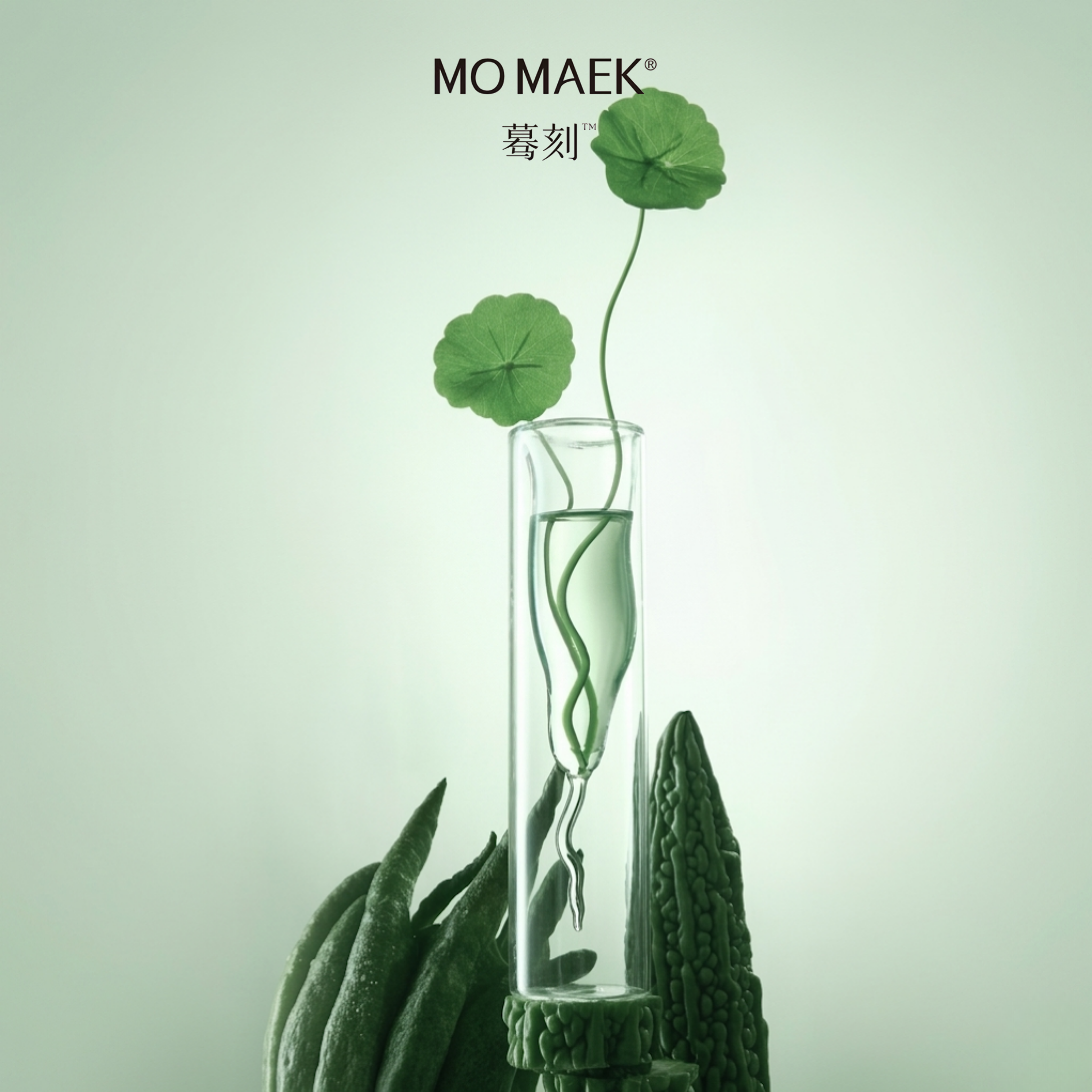 Balsam Pear Scented Home Diffuser by Mo Maek
