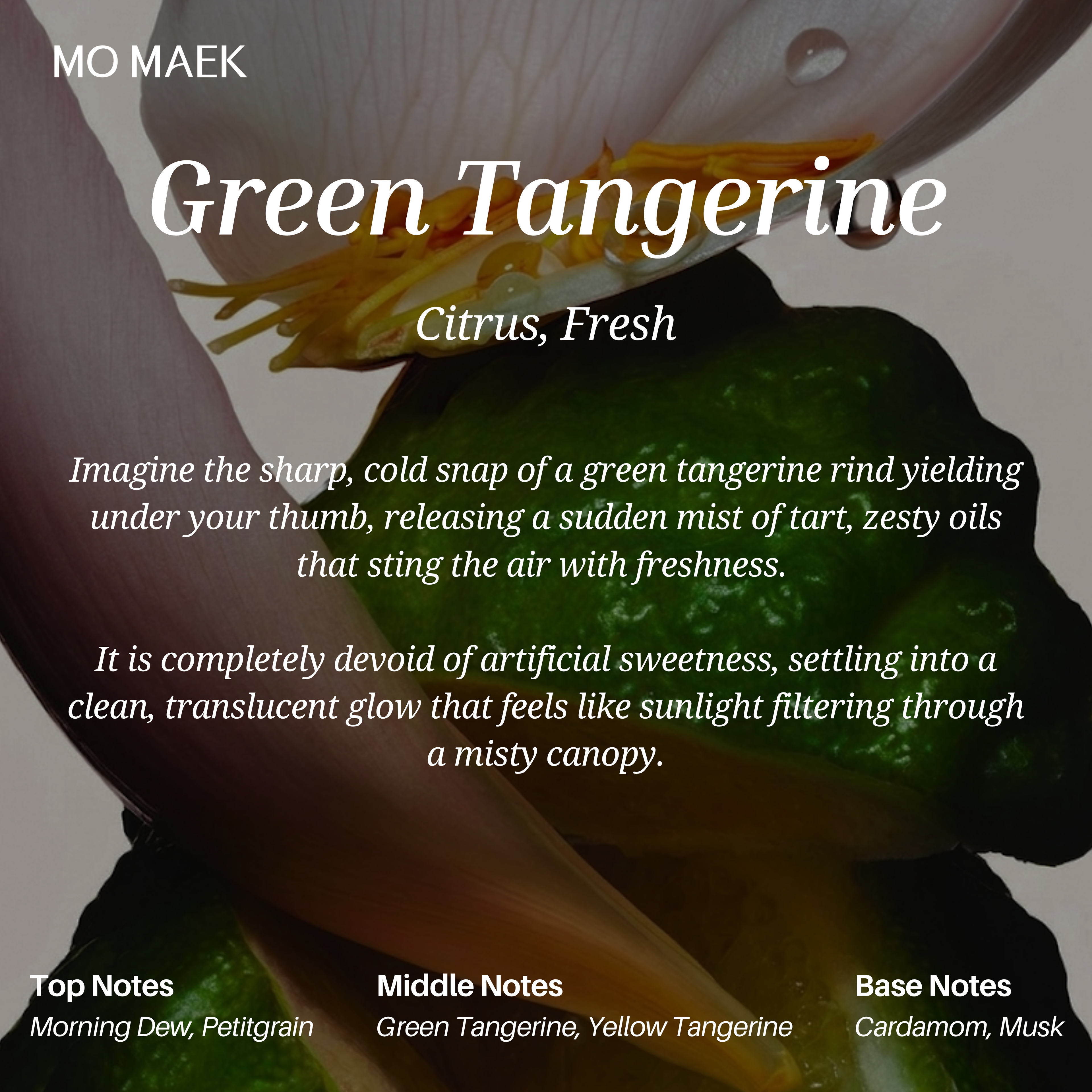Green Tangerine by Mo Maek