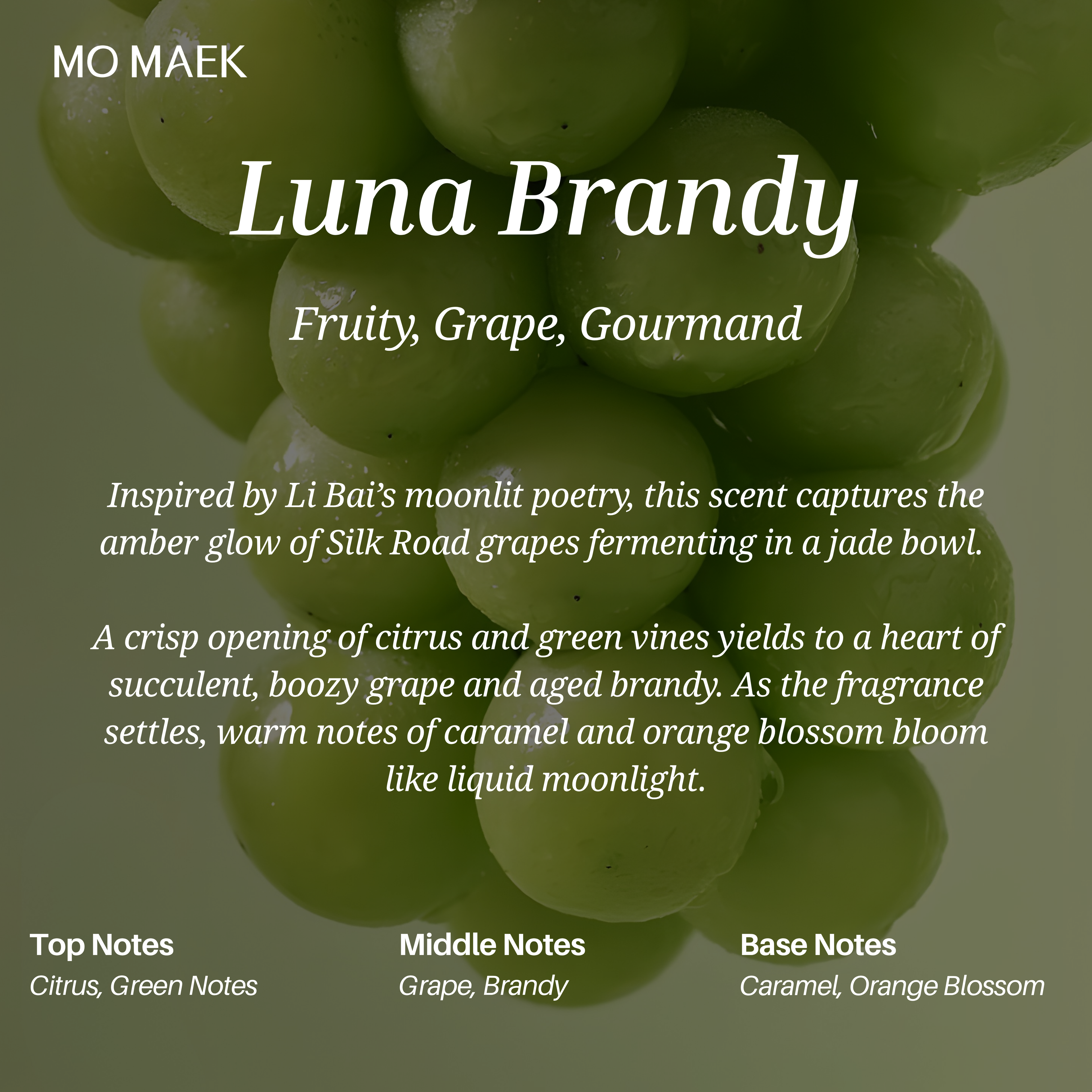 Luna Brandy Scented Perfumed Candle by Mo Maek