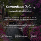 Osmanthus Oolong by Chasense