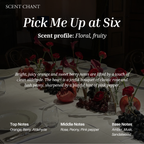 Scent Chant Discovery Sets