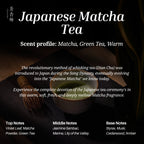 Chasense World Tea Discovery Set