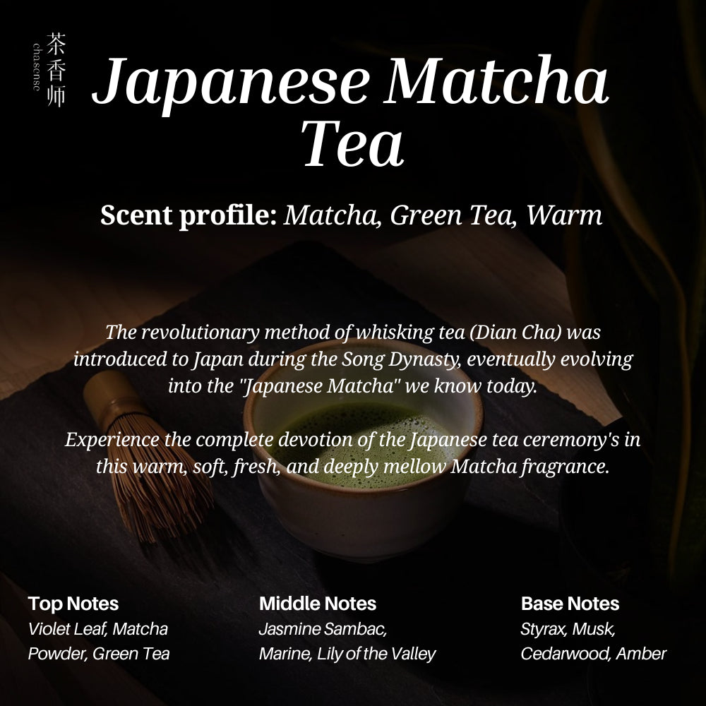 Chasense World Tea Discovery Set